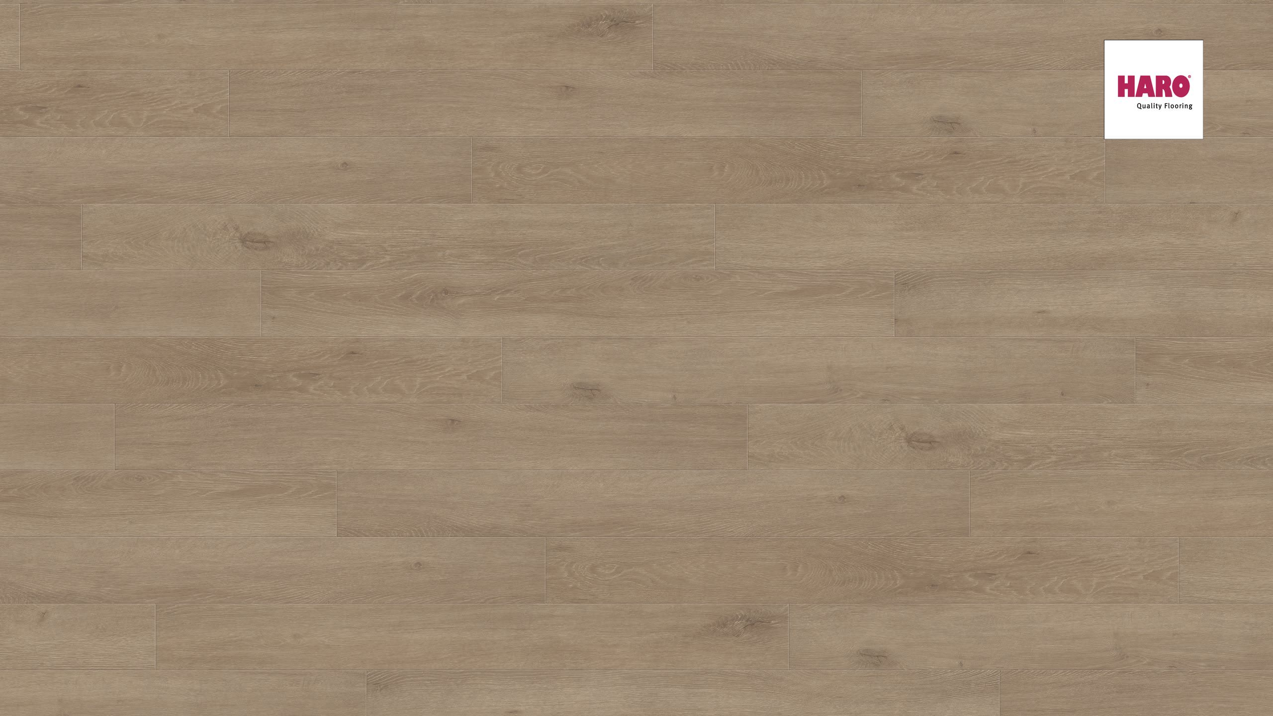 Oak Veneto Crema